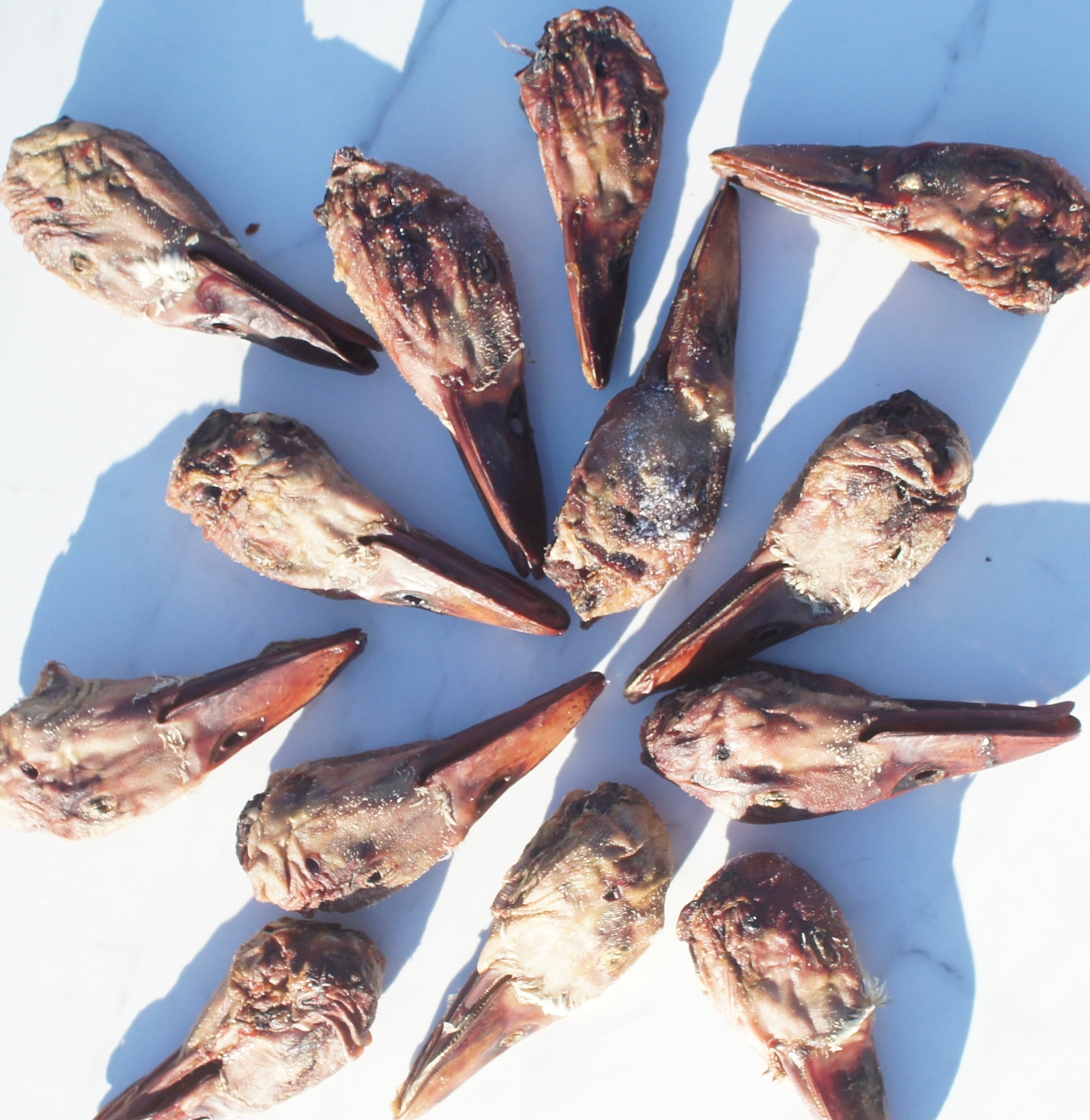 Dehydrated Duck Head (5pk+)