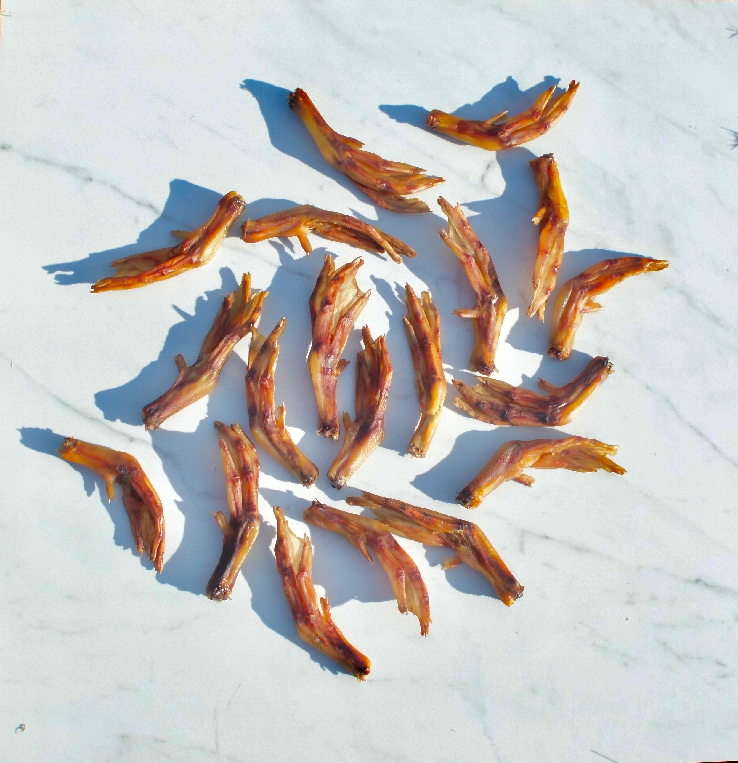 Dehydrated Duck Feet (5pk+)
