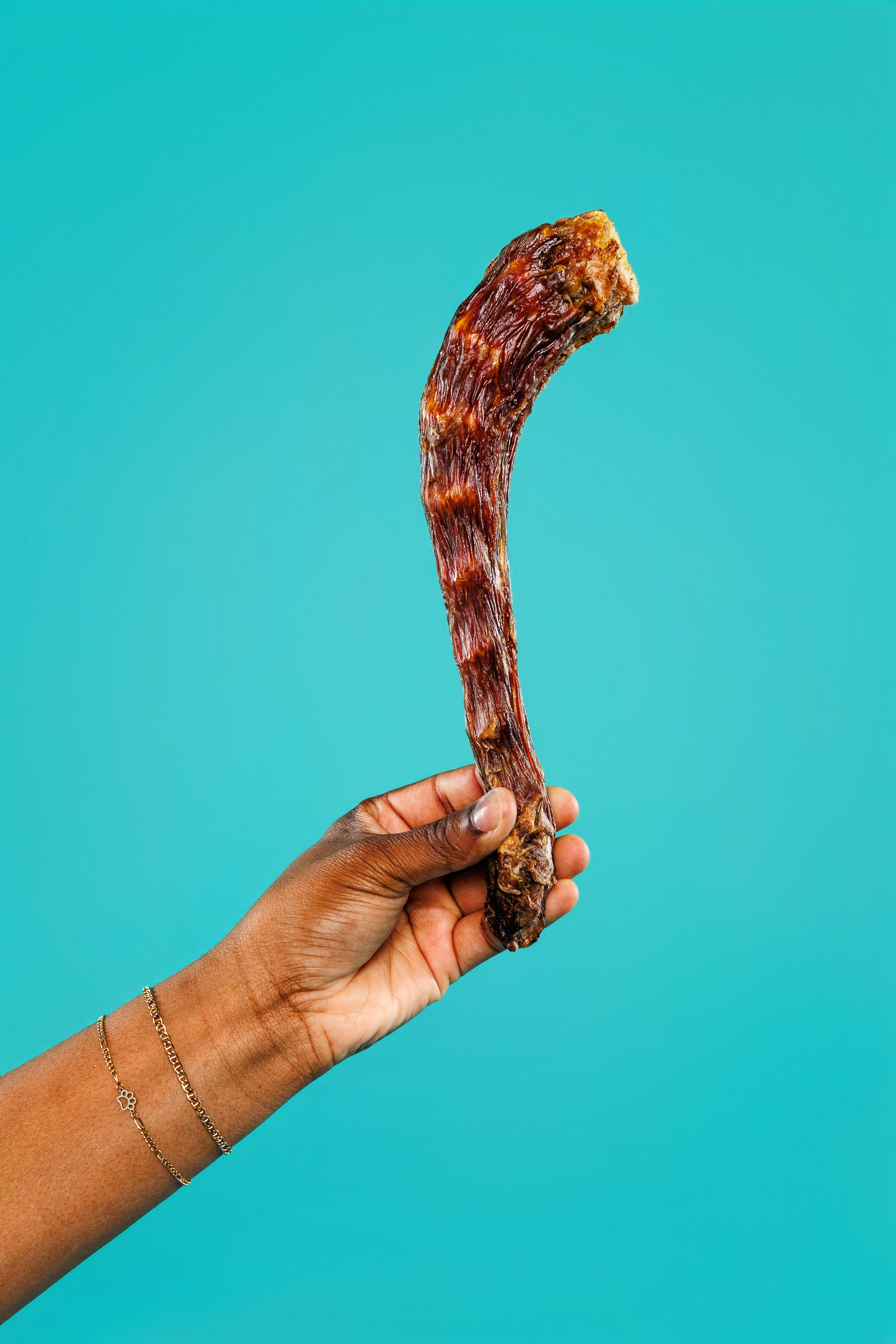 Dehydrated Turkey Necks (2pk)